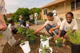 Environment, Transportation, and Planning